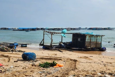 Nhiều nhà lồng bị trôi dạt vào bờ biển.