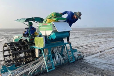 Phân bón Đầu Trâu Bio-Canxi có nhiều tính năng cải tạo đất