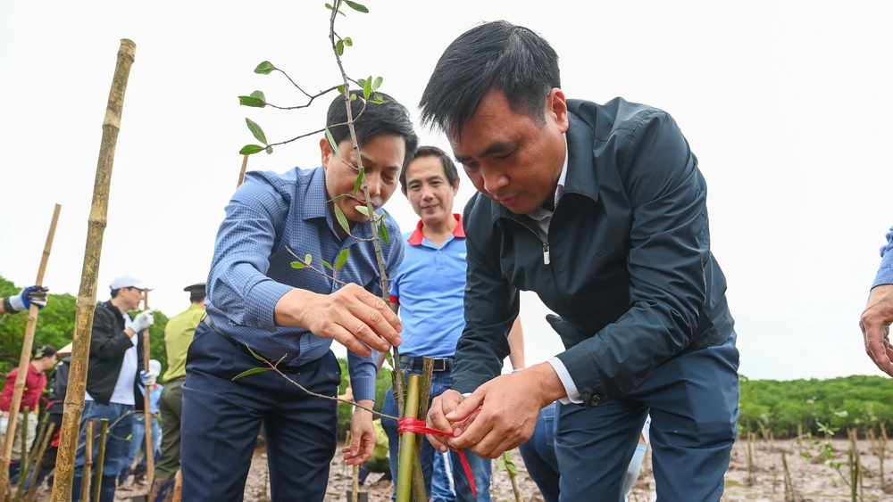 Thứ trưởng Bộ Nông nghiệp và Môi trường Nguyễn Quốc Trị trồng cây tại sự kiện.