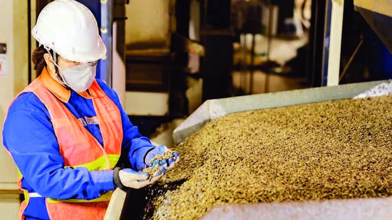 Kiểm soát chất lượng cà-phê xuất khẩu tại Công ty TNHH MTV Xuất nhập khẩu 2-9 Đắk Lắk. (Ảnh MINH ANH)
