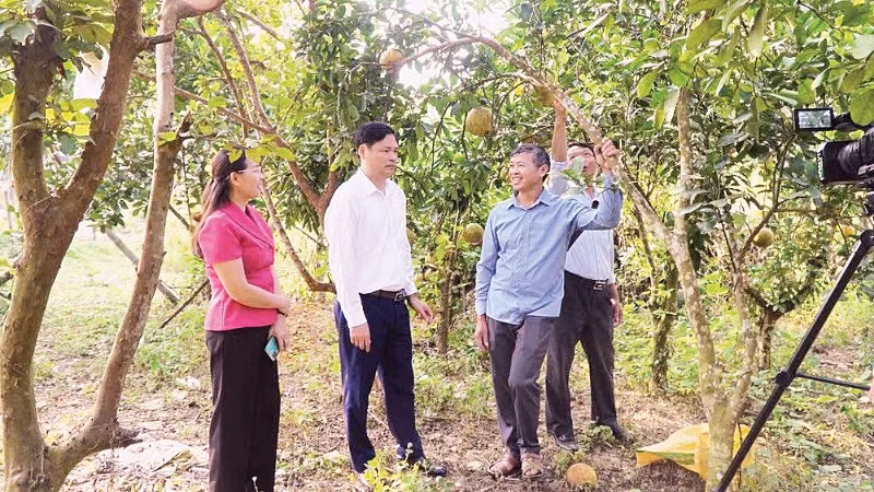 Mô hình vay vốn sản xuất giỏi ở xã Ba Bể, tỉnh Thái Nguyên.