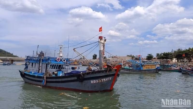 Tàu cá từ 15m trở lên phải có hệ thống giám sát hành trình hoạt động ổn định trước khi xuất bến.