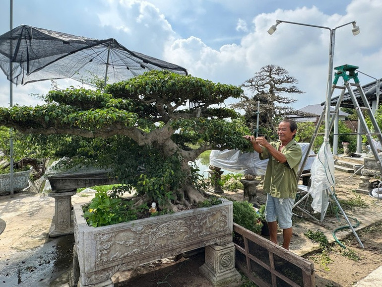 Mô hình trồng sinh vật cảnh phát triển kinh tế tại xã Hồng Vân, huyện Thường Tín, thành phố Hà Nội. z6747798068678-e7b520d22bc7f29c26d31d4814d1e756.jpg