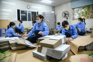 Ảnh minh họa: THÀNH ĐẠT