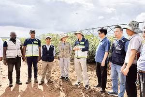 Đoàn công tác Bộ Nông nghiệp và Môi trường khảo sát sản xuất sắn tại Cộng hòa Angola. (Ảnh: TRUNG TÂM KHUYẾN NÔNG QUỐC GIA)