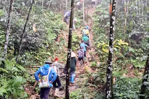 Xã Bắc Quang huy động khoảng 200 người tìm kiếm người đàn ông mất tích khi lên rừng tìm dược liệu.