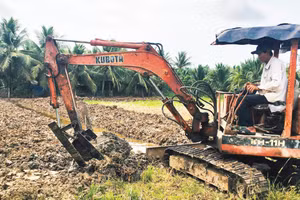 Nông dân xã Lương Hòa, tỉnh Vĩnh Long chuyển đổi từ đất lúa sang trồng dừa.