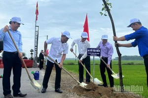 "Tết trồng cây đời đời nhớ ơn Bác Hồ" là dịp để các địa phương vun trồng cây xanh cho vùng đất mới.