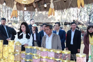 Nhiều hoạt động thương mại gắn với các sự kiện văn hóa giúp tỉnh Quảng Ngãi quảng bá dược liệu vùng Tây Nguyên.