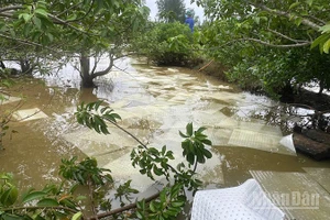 Dầu DO lan rộng trên sông và kênh mương.