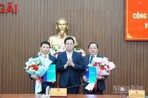 Chủ tịch Ủy ban nhân dân tỉnh Quảng Ngãi Nguyễn Hoàng Giang trao quyết định công tác cán bộ.