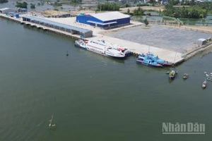 Cảng dịch vụ hậu cần nghề cá 19/5 tiếp nhận tàu thuyền ngư dân tỉnh Quảng Ngãi và vùng lân cận.