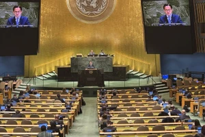 Ảnh minh họa. (Nguồn: TTXVN)