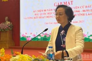 Phó Thủ tướng Phạm Thị Thanh Trà phát biểu tại buổi gặp mặt. (Ảnh: THANH SƠN)