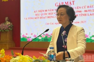 Phó Thủ tướng Phạm Thị Thanh Trà phát biểu tại buổi gặp mặt. (Ảnh: THANH SƠN)