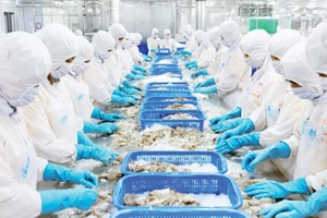 Chế biến thủy sản xuất khẩu tại Nhà máy của Công ty cổ phần chế biến thủy sản xuất, nhập khẩu Kiên Cường, tỉnh An Giang. (Ảnh PHÚ CƯỜNG)