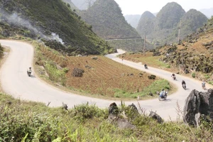 Quốc lộ 4C là tuyến đường huyết mạch trên vùng Công viên địa chất toàn cầu UNESCO Cao nguyên đá Đồng Văn.