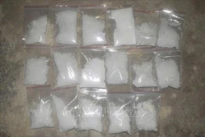 Ảnh minh họa. (Nguồn: TTXVN)