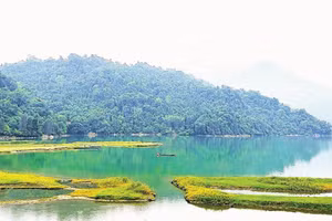 Vẻ đẹp nguyên sơ ở hồ Ba Bể thu hút khách du lịch.