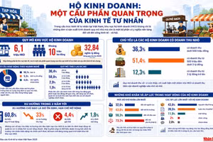 Ảnh đồ họa. (Ảnh: MINH DŨNG)
