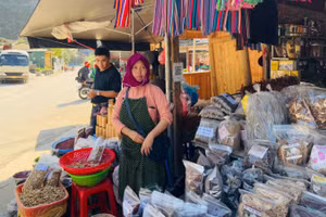 Các dịch vụ trải nghiệm địa phương đang tạo nên bản sắc du lịch Việt Nam.