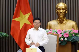 Phó Thủ tướng Nguyễn Văn Thắng phát biểu tại cuộc họp. (Ảnh VGP/Đức Tuân)