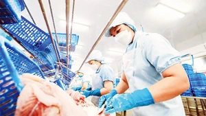 Công nhân làm việc tại một nhà máy chế biến thủy sản ở Cần Thơ.