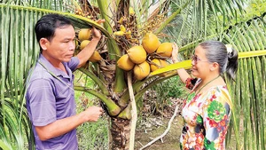 Gia đình bà Nguyễn Thị Ngọc Huệ được hỗ trợ vay vốn để phát triển kinh tế, vươn lên thoát nghèo.