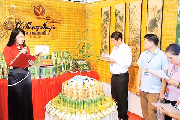 Hợp tác xã sản xuất, kinh doanh và dịch vụ tổng hợp Bình Thuận giới thiệu các sản phẩm chè tại Hội chợ xúc tiến thương mại. (Ảnh PHAN TRANG); 