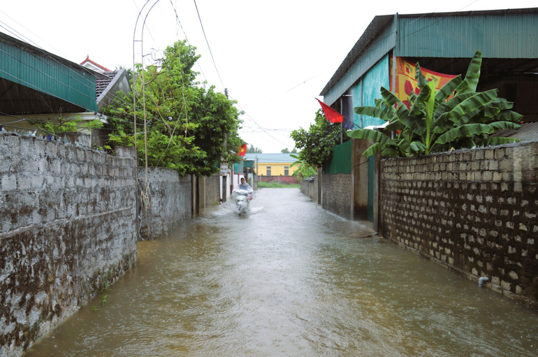 vna-potal-bao-so-3-nguy-co-ngap-lut-tren-dien-rong-o-nhung-vung-thap-trung-cua-tinh-nghe-an-8164216.jpg