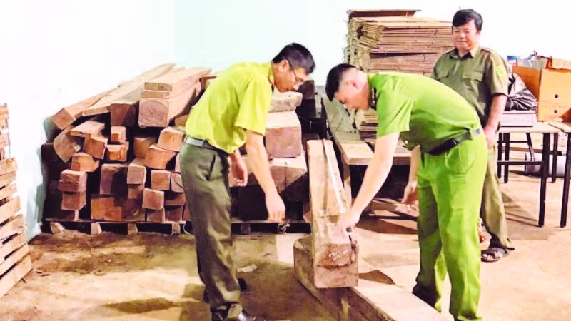 Công an xã Krông Ana phối hợp Hạt Kiểm lâm khu vực Lắk kiểm tra gỗ chưa xác định chủng loại tại nhà kho của ông T.V.T, không có hóa đơn, bản kê lâm sản hoặc giấy tờ chứng minh nguồn gốc hợp pháp.