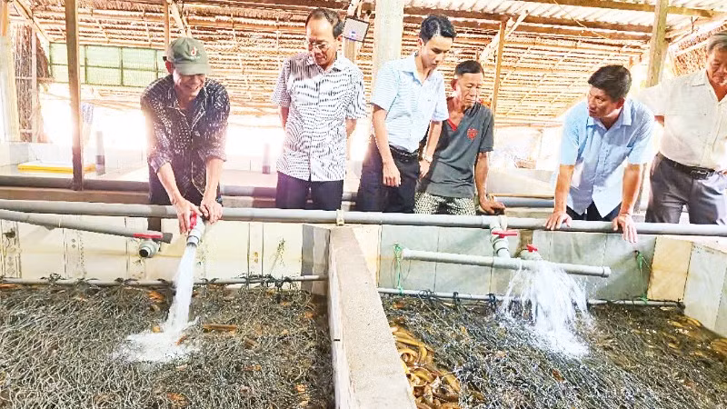Hội Nông dân thành phố Cần Thơ và Ủy ban nhân dân xã Vị Thủy khảo sát tại hộ nuôi lươn ở Ấp 6.