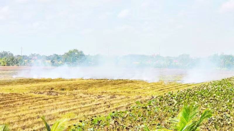 Đốt đồng tiềm ẩn nhiều nguy cơ và lãng phí nguồn rơm rạ.