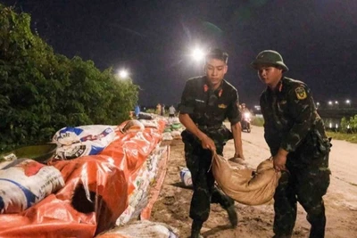 Cán bộ, chiến sĩ Bộ Chỉ huy Quân sự tỉnh Bắc Ninh khẩn trương gia cố đê Đẩu Hàn. (Ảnh minh họa: VÂN TRƯỜNG)