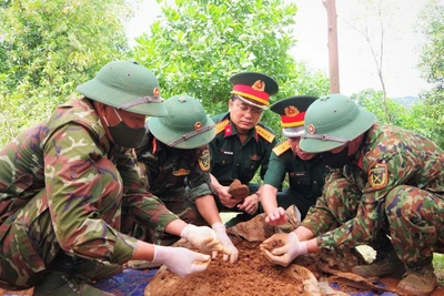 Cán bộ nhân viên đội quy tập hài cốt liệt sĩ Đoàn Kinh tế-Quốc phòng 337, Quân khu 4 tổ chức tìm kiếm và cất bốc hài cốt liệt sĩ tại thôn Xa Re, xã Khe Sanh, tỉnh Quảng Trị. (Ảnh: BÁO NHÂN DÂN)