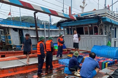 Cán bộ, chiến sĩ Hải đoàn Biên phòng 38 vận động người dân gia cố, chằng buộc phương tiện tránh, trú bão. (Ảnh: HÀ VINH)