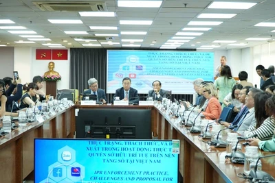 Hội thảo “Một số vấn đề trong thực thi bảo hộ quyền sở hữu trí tuệ”. (Ảnh: TL)