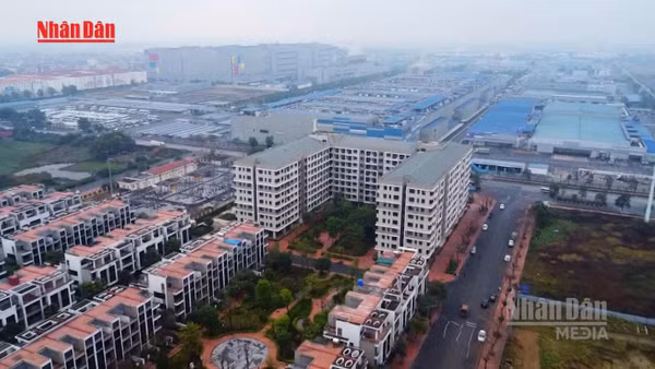 [Video] Cho thuê căn hộ ngắn ngày trong chung cư tại Thành phố Hồ Chí Minh phải đăng ký hoạt động