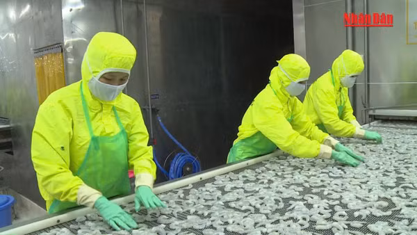 [Video] Mỗi tháng có gần 27.000 doanh nghiệp thành lập mới và quay trở lại hoạt động