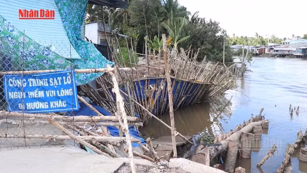 [Video] Sạt lở diễn biến phức tạp ở Đồng bằng sông Cửu Long