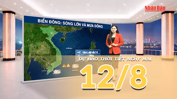 [Video] Dự báo thời tiết đêm nay và ngày mai ngày 12/8/2026: Nắng nóng gia tăng ở Bắc Bộ và Trung Bộ, mưa dông giảm ở phía Nam 