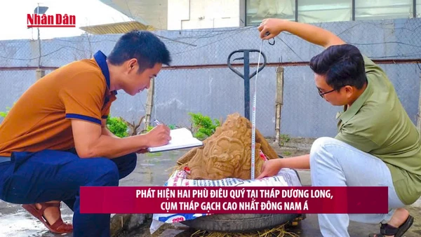 [Video] Phát hiện hai phù điêu quý tại tháp Dương Long, cụm tháp gạch cao nhất Đông Nam Á