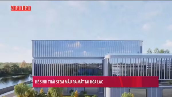 [Video] Hệ sinh thái STEM mẫu ra mắt tại Hòa Lạc
