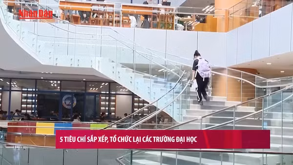 [Video] 5 tiêu chí sắp xếp, tổ chức lại các trường đại học