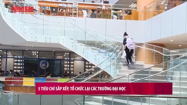 [Video] 5 tiêu chí sắp xếp, tổ chức lại các trường đại học