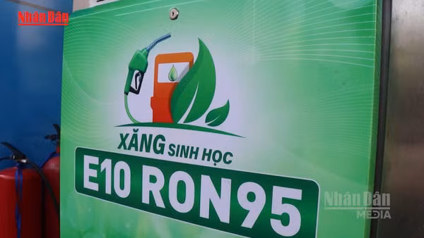[Video] Giá xăng sinh học E10 cao nhất không quá 25.120 đồng/lít