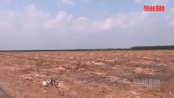 [Video] Ưu tiên thi công các đoạn tuyến giao thông kết nối sân bay Long Thành