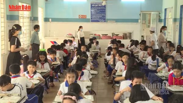 [Video] Bộ Giáo dục và Đào tạo siết chuẩn bữa ăn học đường, xây thực đơn dinh dưỡng toàn quốc 