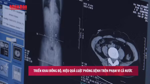 [Video] Triển khai đồng bộ, hiệu quả Luật Phòng bệnh trên phạm vi cả nước
