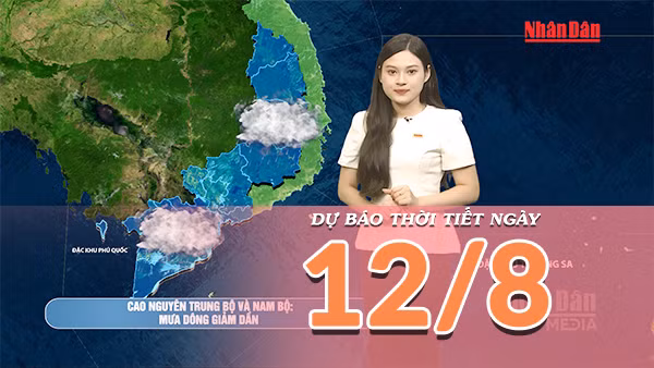[Video] Dự báo thời tiết ngày 12/8/2026: Nắng nóng gay gắt tiếp tục bao trùm Bắc Bộ, Trung Bộ